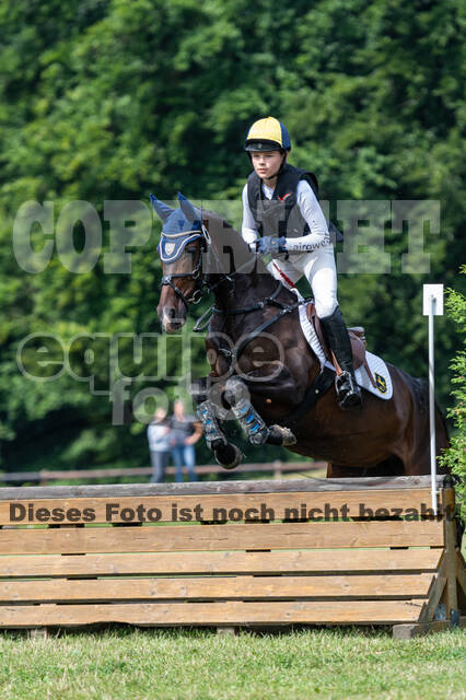 Goldene Schärpe 2021 - Ponys