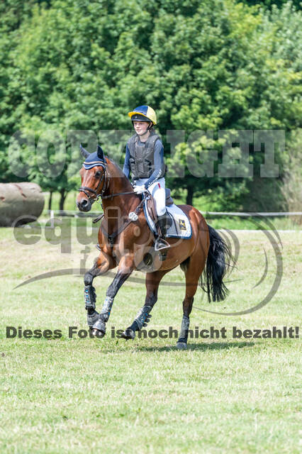 Goldene Schärpe 2021 - Ponys