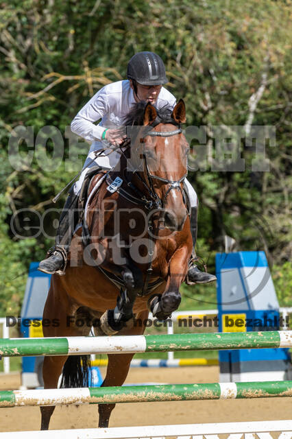 RFV Dinslaken-Hiesfeld (Herbstturnier)