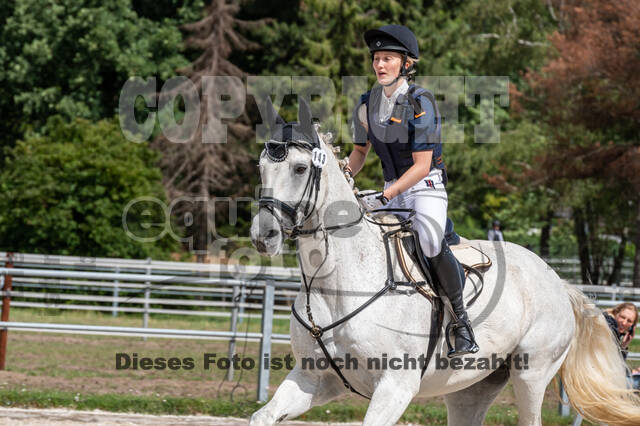 Late-Entry-Vielseitigkeit Langenfeld (06.+07.07.2020)