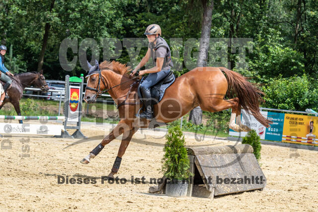 Hunter Geländetraining 10.07.2021 (Sonsbeck)