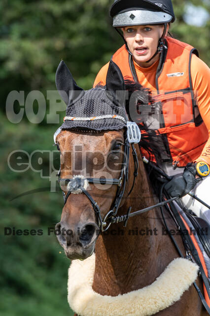 Late-Entry-Vielseitigkeit Langenfeld (06.+07.07.2020)