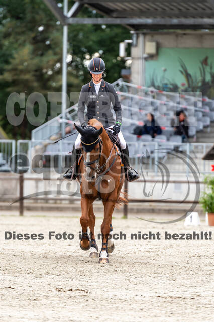 Deutsche Meisterschaft Vielseitigkeit (Luhmühlen)