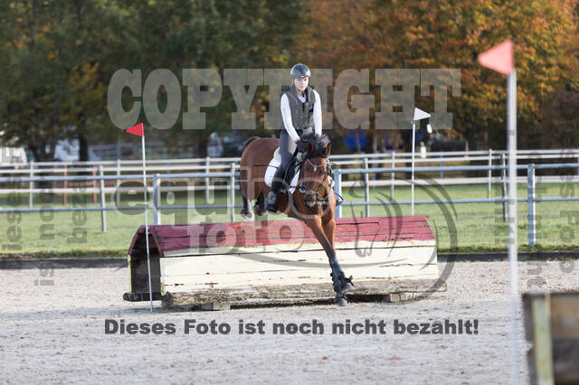 IGV Lehrgang der Sieger der Cups mit Frank Ostholt