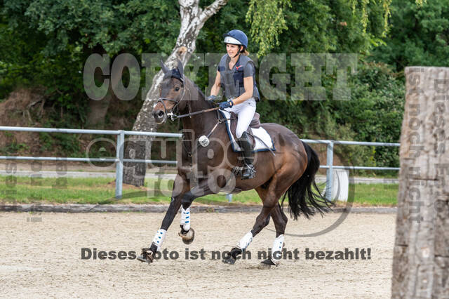 Late-Entry-Vielseitigkeit Langenfeld (11.+13./14.06.2020)
