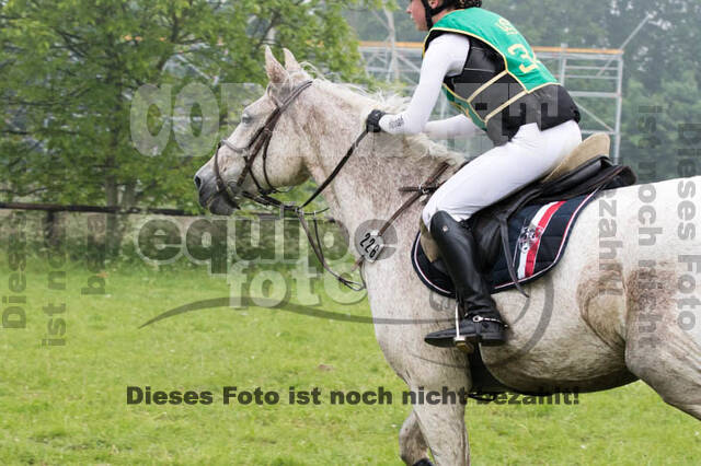 Vielseitigkeitsturnier ZRFV von Lützow Hamminkeln