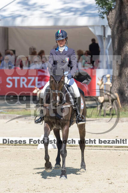 FEI European Championship
