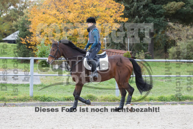 IGV Lehrgang der Sieger der Cups mit Frank Ostholt