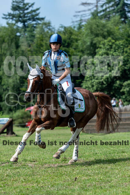 Goldene Schärpe 2021 - Ponys