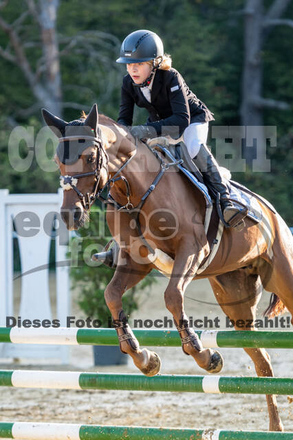 RFV Dinslaken-Hiesfeld (Herbstturnier)