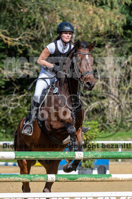 RFV Dinslaken-Hiesfeld (Herbstturnier)