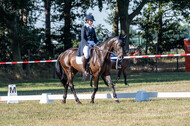 Kronenberg - De Peelbergen (August 2020)