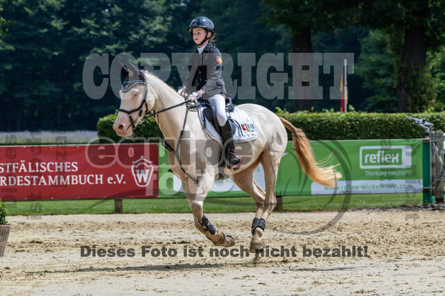 Goldene Schärpe 2021 - Ponys