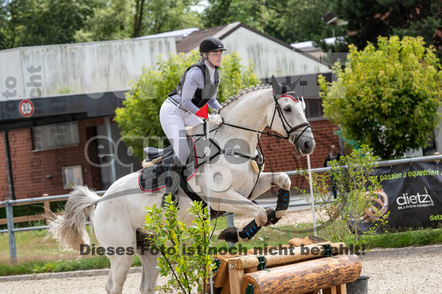 Late-Entry-Vielseitigkeit Langenfeld (06.+07.07.2020)