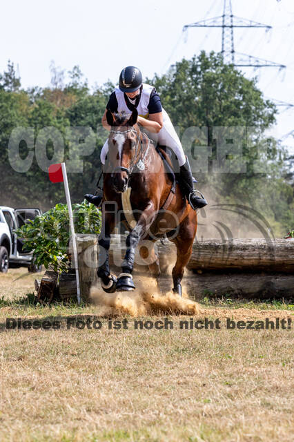 Late-Entry Vielseitigkeit Hamminkeln/Wesel (01.+02.08.2020)