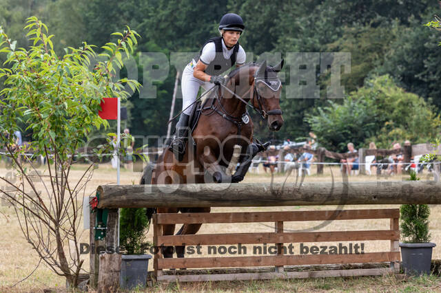 Late-Entry Vielseitigkeit Hamminkeln/Wesel (01.+02.08.2020)
