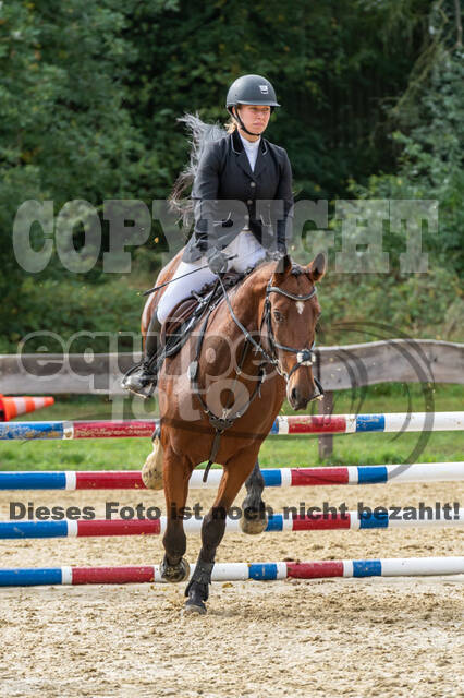 Vielseitigkeit RSV Wesel Obrighoven (26.+27.09.2020)