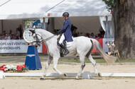 FEI European Championship Eventing 2017
