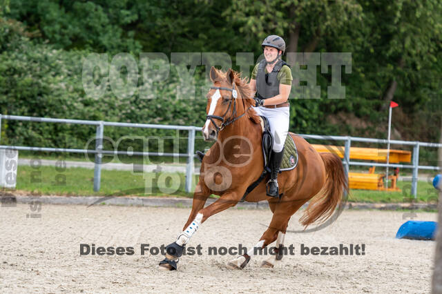 Late-Entry-Vielseitigkeit Langenfeld (11.+13./14.06.2020)