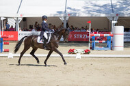 FEI European Championship