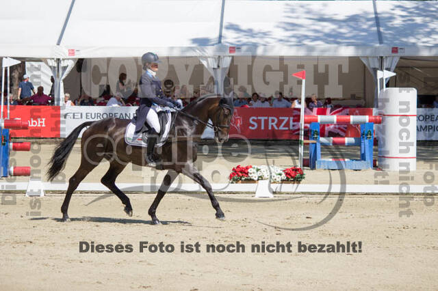 FEI European Championship