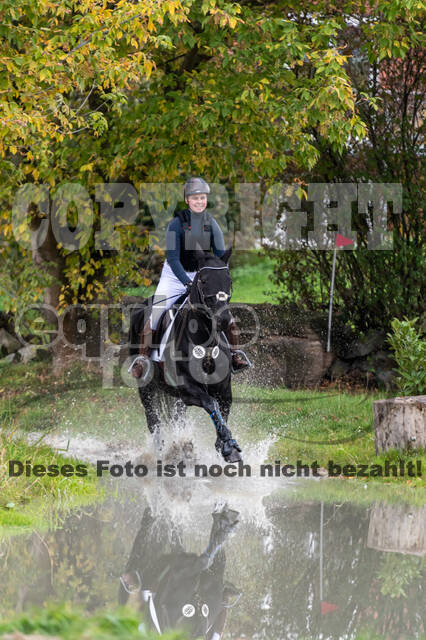 Goldene Schärpe 2020 - Pferde