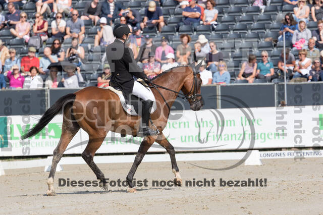 FEI European Championship Eventing 2019