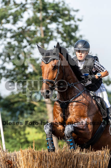 De Peelbergen (August 2020)