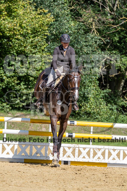 RFV Dinslaken-Hiesfeld (Herbstturnier)