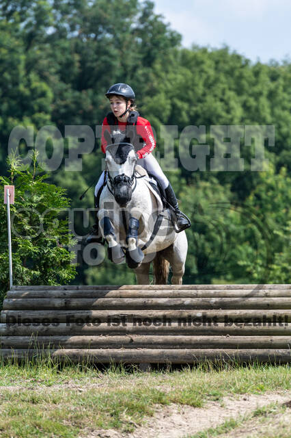 Goldene Schärpe 2021 - Ponys