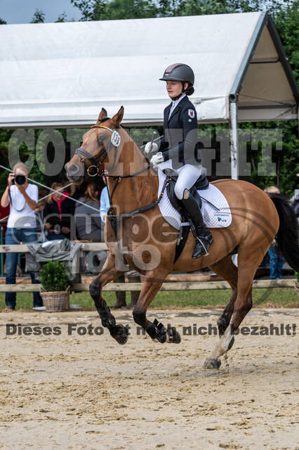 Goldene Schärpe 2021 - Ponys