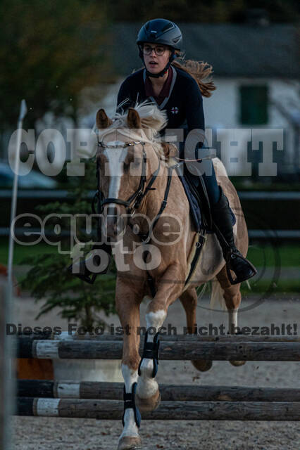 IGV Lehrgang der Sieger der Cups mit Frank Ostholt