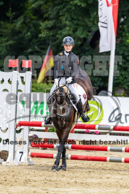 Goldene Schärpe 2021 - Ponys