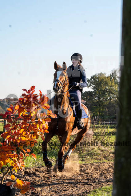 Vielseitigkeitslehrgang mit Jürg Kurbel (9.+10.11.2019)