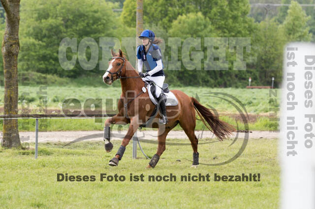 Vielseitigkeitsturnier RuFV Rheurdt