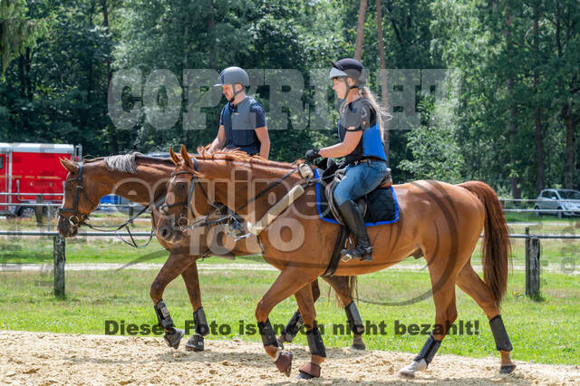 Hunter Geländetraining 10.07.2021 (Sonsbeck)