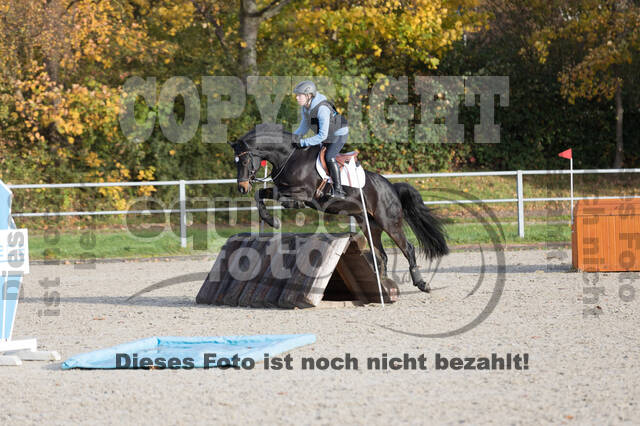 IGV Lehrgang der Sieger der Cups mit Frank Ostholt
