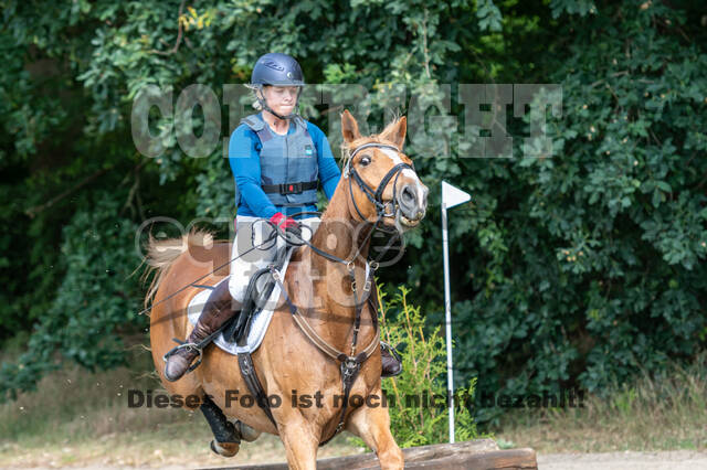 Late-Entry-Vielseitigkeit Langenfeld (11.+13./14.06.2020)