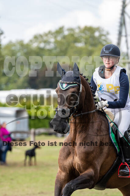 Vielseitigkeit RSV Wesel Obrighoven (26.+27.09.2020)