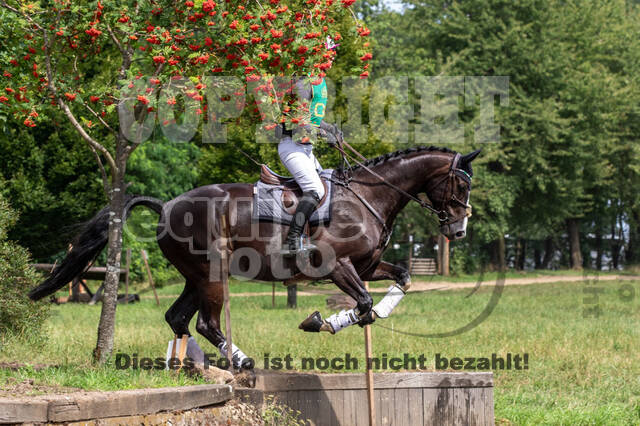 Late-Entry-Vielseitigkeit Gahlen (18.07.2020)