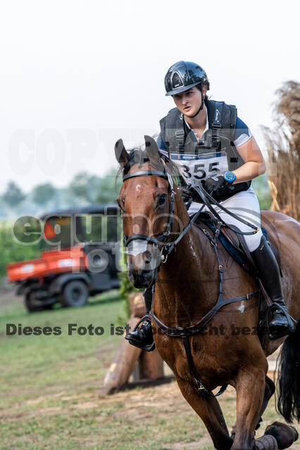 De Peelbergen (August 2020)