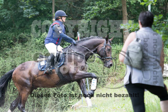 Vielseitigkeitsturnier Bad Honnef