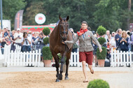 FEI European Championship Eventing 2019