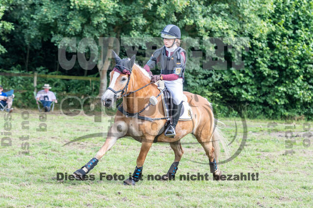 Goldene Schärpe 2021 - Ponys