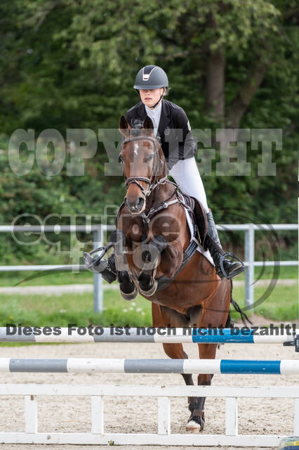 Late-Entry-Vielseitigkeit Langenfeld (06.+07.07.2020)