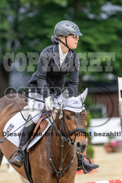 Goldene Schärpe 2021 - Ponys