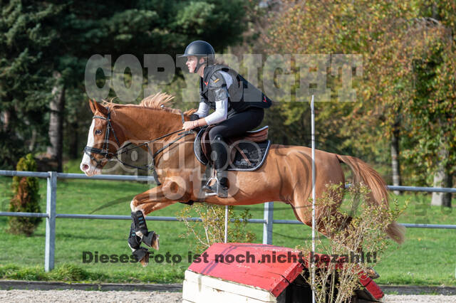 IGV Lehrgang der Sieger der Cups mit Frank Ostholt