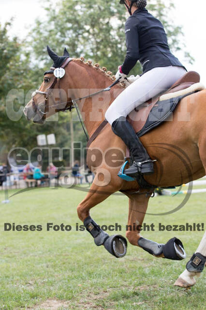 IGV Kleve