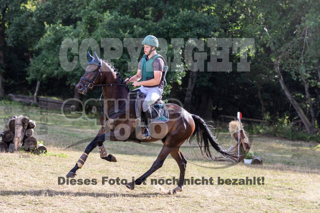 Late-Entry Vielseitigkeit Hamminkeln/Wesel (01.+02.08.2020)