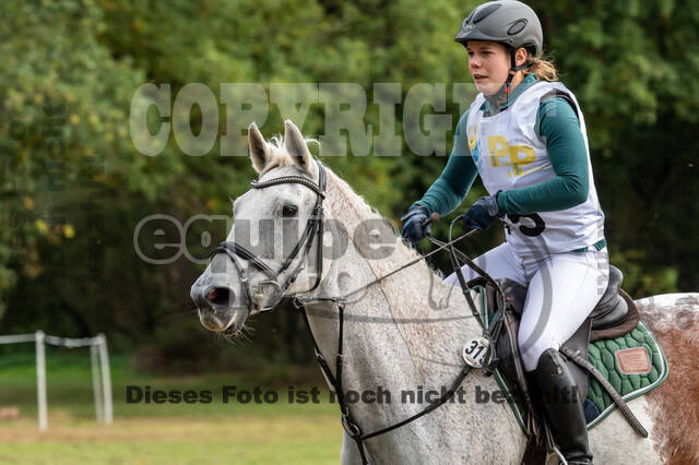 Vielseitigkeit RSV Wesel Obrighoven (26.+27.09.2020)